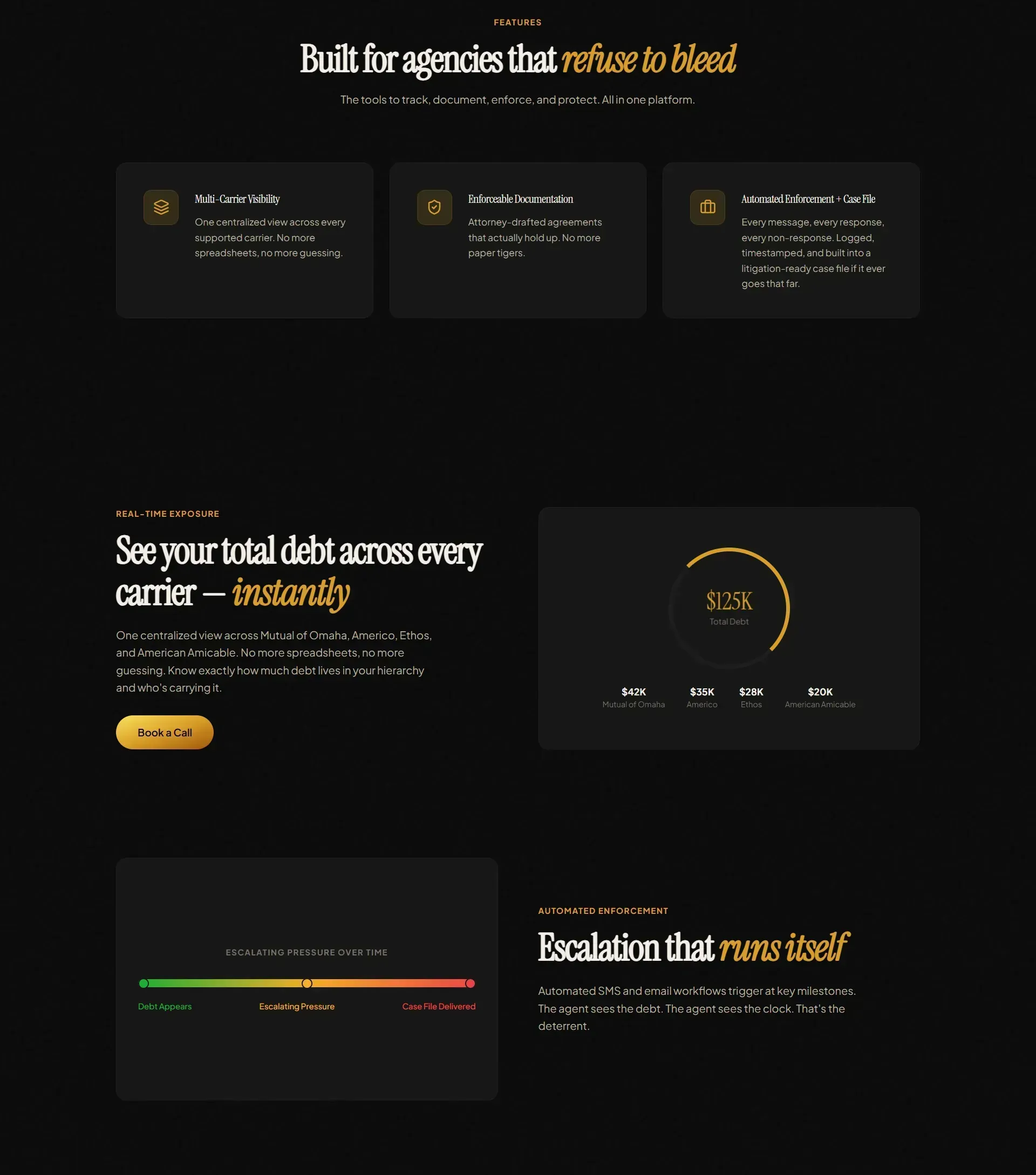 Debt Shield AI view 3